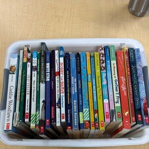 Bundle of 25 novels for kids